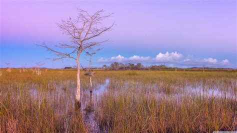 29 Everglades National Park Wallpapers