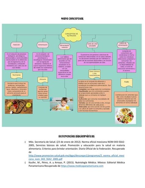 Mapa Conceptual Conceptos De Nutrición Udocz