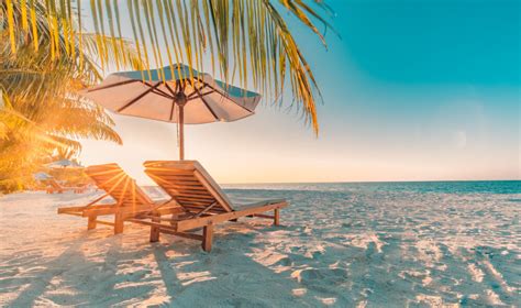 Discover Our Guide To The Maldives Red Dot Tours