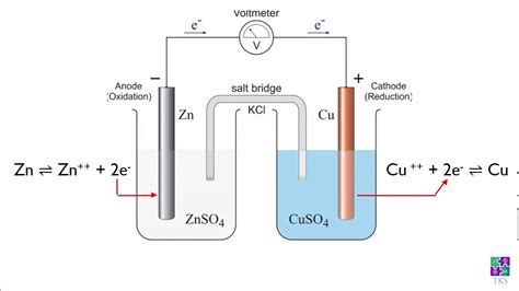 Class 12 How Electricity Is Generated In An Electrochemical Cell Youtube