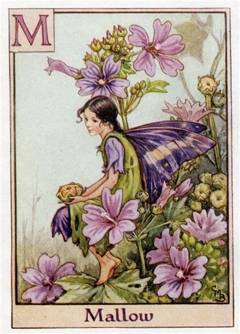 Mallow Alphabet Letter M Flower Fairy C1940 By Cicely Mary Barker