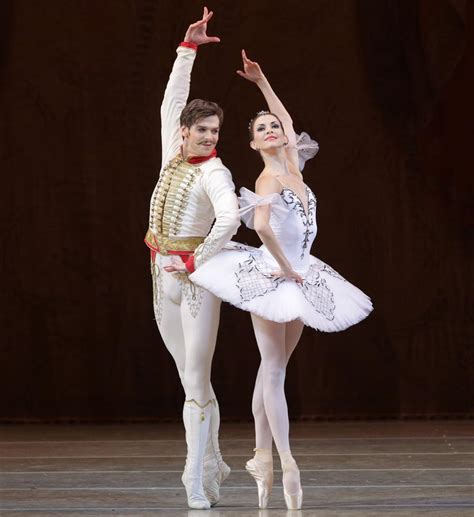 Alina Somova And Vladimir Shklyarov Ballet The Best Photographs
