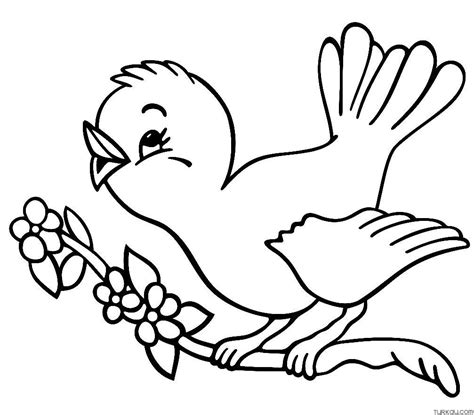 Coloring Pages Of Cute Birds