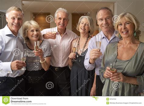 Guests Enjoying Champagne At Dinner Party Stock Photo - Image of image, dinner: 8754194