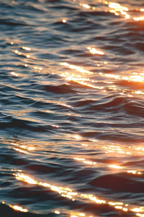 Sunset Water Pictures Download Free Images On Unsplash