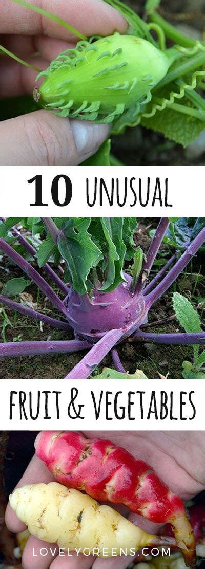 413 Best Unusual Fruits And Vegetables For The Home Grower