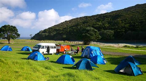 Puketi Recreation Area Campsite Kerikeri Camping Tentopia