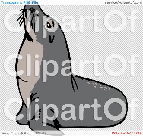 Royalty Free Rf Clipart Illustration Of A Gray Sea Lion Basking In