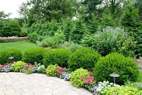 The Best Front Yard Landscaping Ideas Evergreen Shrubs References