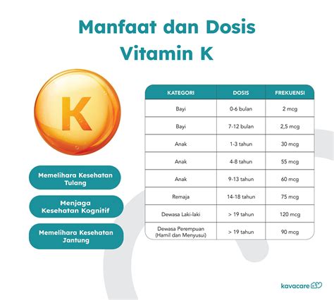Vitamin K Manfaat Dosis Dan Sumber Terbaik