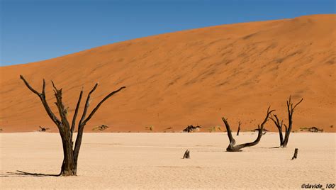Wallpaper Trees Landscape Sky Blue Desert Orange Africa Dune