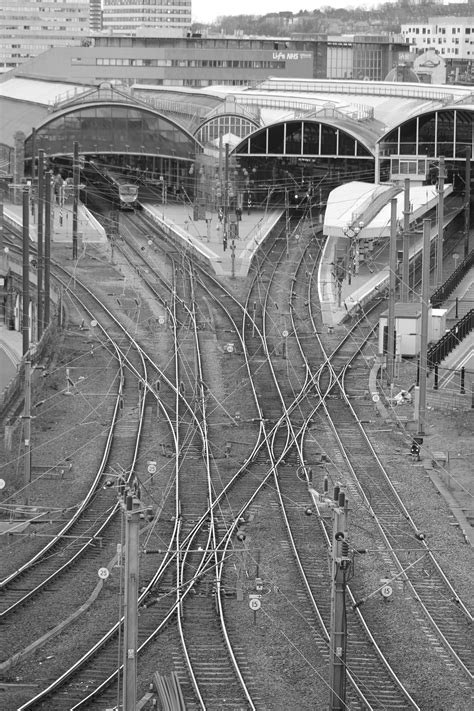 black and white photograph of multiple train tracks