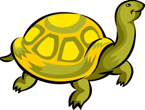 Clip art Turtle Portable Network Graphics Illustration Vector graphics - world turtle day png ...