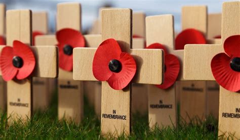 Remembrance Sunday Service To Be Live Streamed The Exeter Daily