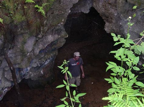 Withlacoochee State Forest Cave Vandal Cave Ryan Crutchfield Flickr