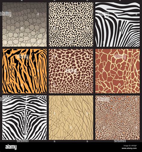 Illustration Texture Skins Of Wild Animals Living In Africa Stock