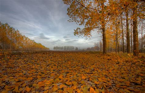 Truly Colourful And Beautiful Autumn Photography Website Design