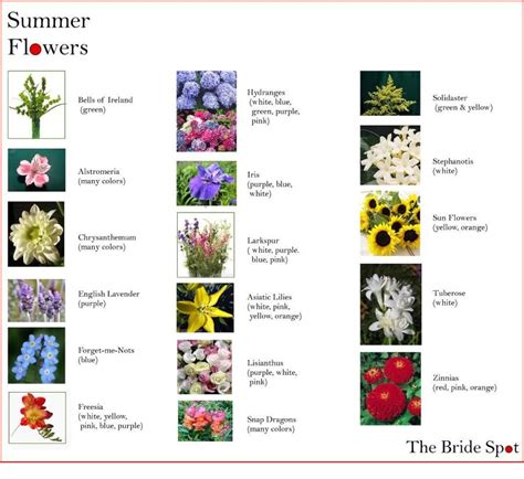 Summer Flowers Names With Pictures A Bride Blog Wish Wonder