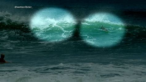 Shark Attacks 2021 Surfer Bitten By Shark In Hurricane Larry Surf In