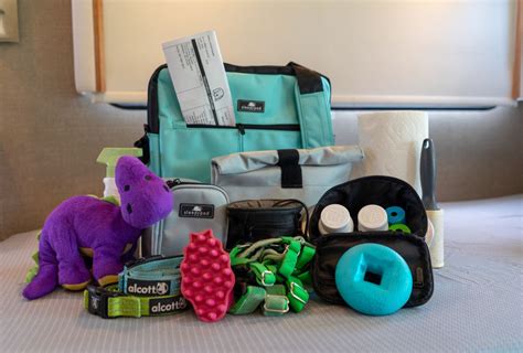 What To Pack For Your Dog For An Overnight Trip Gopetfriendly Dog