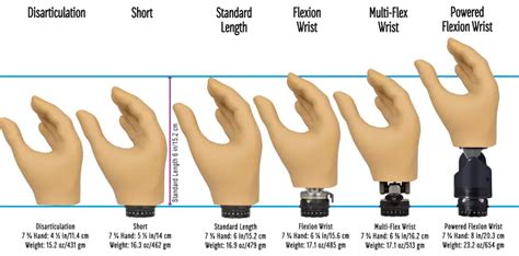 Fillauer Mc Proplus Wrist Disarticulation Hand User Manual