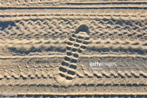 Car Footprint Photos And Premium High Res Pictures Getty Images