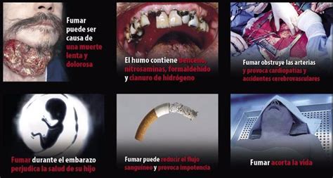 A Partir De Mayo Los Fumadores Verán Tumores Pulmones Cancerosos O
