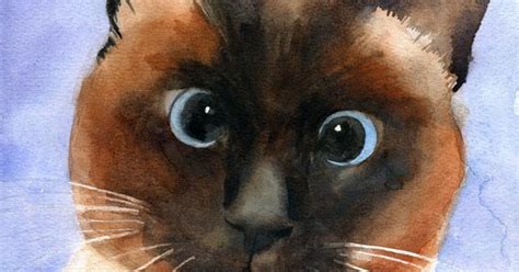 Rachels Studio Blog Cross Eyed Siamese Cat Art