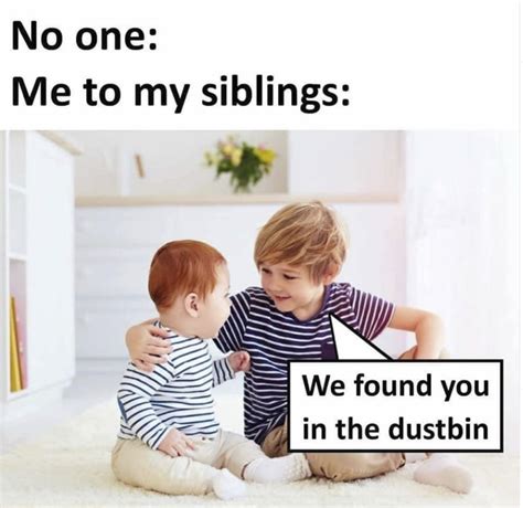 top 115 funny memes on brother and sister