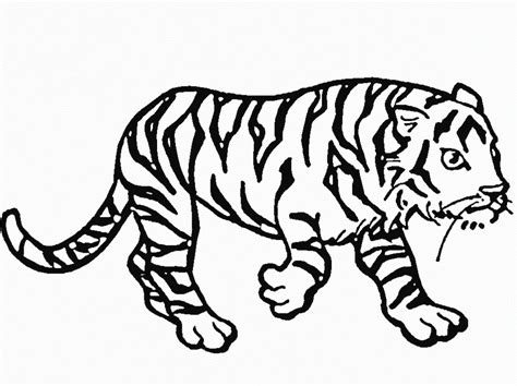 The next tiger coloring sheets are made with more realistic drawings, and some of them are close up tiger faces. Free Printable Tiger Coloring Pages For Kids