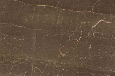 Armani Brown Marble Tile At Best Price In Silvassa Shri Parasnath Exports