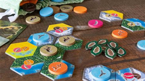 The Best Nature Themed Board Games Parks Cascadia And More Polygon