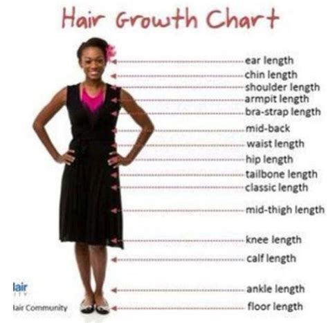 Hair lengths (2) previous page bra strap length sits right where it says in the name, a few inches below the armpit, at about the height of your shoulder blades. Natural hair length Charts / Tabillas de crecimiento del ...
