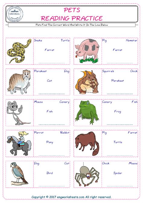 Pets For Kids English Esl Worksheets For Distance Learning And Physical