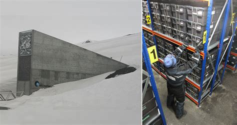 Svalbard International Seed Vault Also Called Doomsday Vault Storage