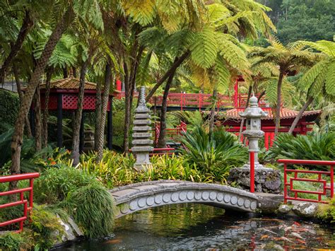 58 Tropical Garden Landscape Design Garden Design