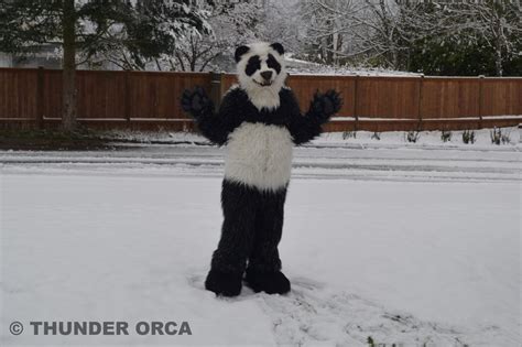 My Panda Fursuit Part 21 — Weasyl