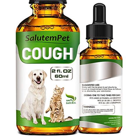6 Best Cough Medicine Options For Your Dog 2022 Vet Reviews
