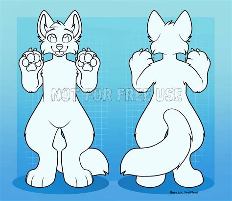 Furry Reference Sheet Base Canine And Feline Etsy