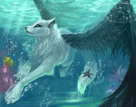Water Breeze Male No Pups No Mate Fantasy Wolf Animal Drawings