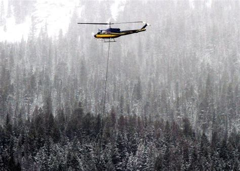 Aerial Logging Idaho Based Company Uses Helicopter To Move Logs On