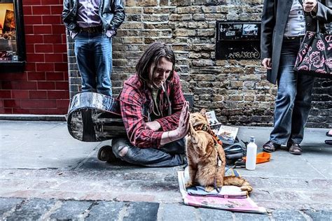 Some times cat lover try to some kitten name which is small today but keep in funny male cat names. A Street Cat named Bob | Street cat bob, Cat names, Ginger ...