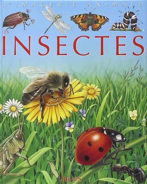 Amazonfr Livres Sur Les Insectes Livres