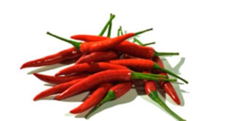 Fresh Vegetable Red Chili Padi Cili Merah Padi 红小米椒