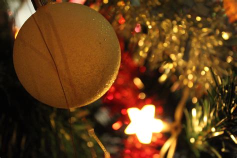 Fotos Gratis árbol De Navidad Bolas Pelota Fiesta Vacaciones