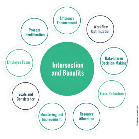 Business Process Analysis: A Step-by-Step Approach | MEGA