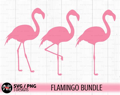 Pink Flamingo Svg Bird Svg Flamingo Party Svg Tropical Svg Etsy