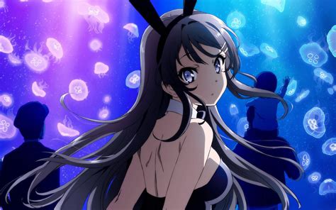 Free Download Rascal Does Not Dream Of Bunny Girl Senpai Hd Wallpaper 1920x1080 For Your