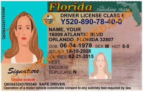 Florida Drivers License Psd Template Photoshop File Throughout