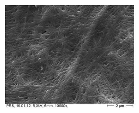 Ah Representative Sem Images Of Native Cancellous Bone Ncb And